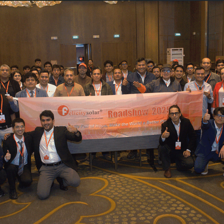 Felicitysolar Advances South American Tour: Inspiring Engagement at Peru Brand Roadshow Following Chile Debut